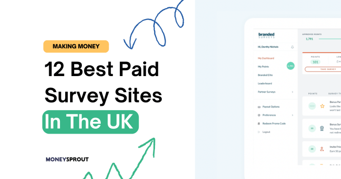 Global paid survey sites